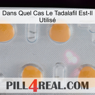 Dans Quel Cas Le Tadalafil Est-Il Utilisé 24